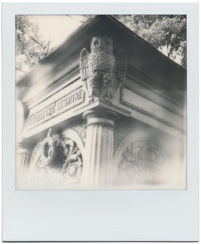Impossible SX-70 B&W 3