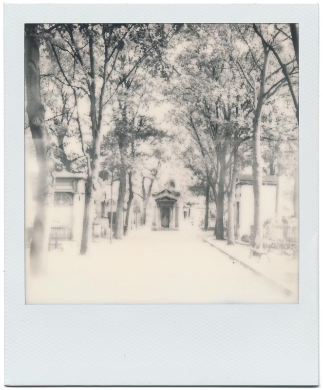 Impossible SX-70 B&W 1