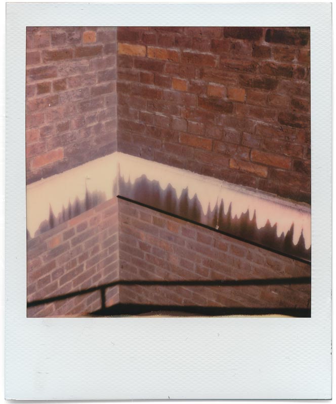 Polaroid Originals 600 Color 2