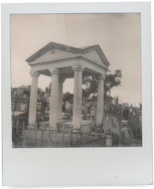 Polaroid SX-70 B&W 2