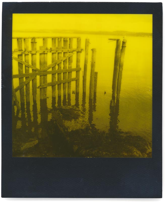 Polaroid Black & Yellow 600 Duochrome Edition 4