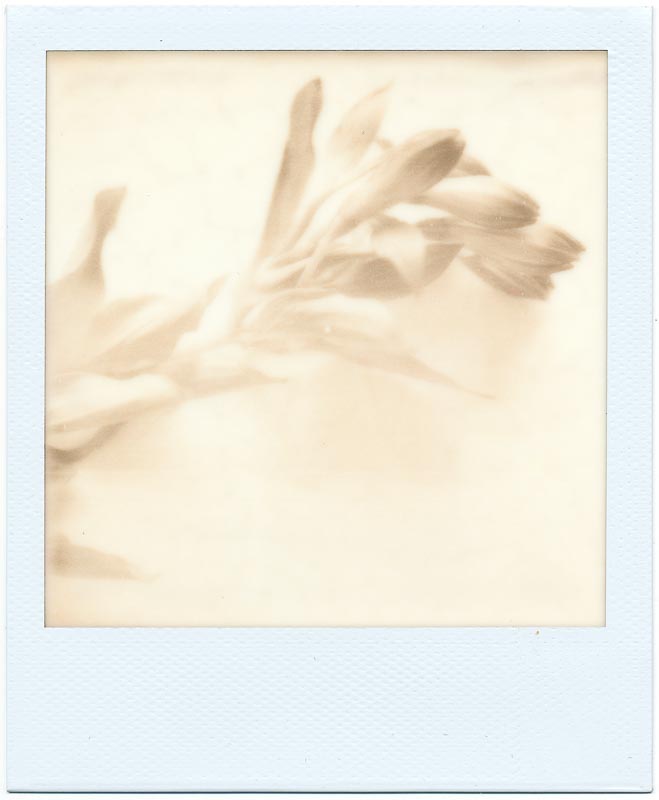 PX-70 First Flush 1