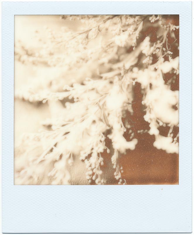PX-70 First Flush 3