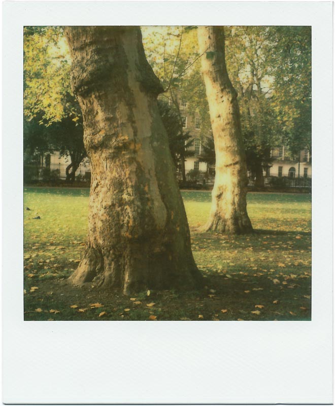 PX70 Color Shade Color Protection 4
