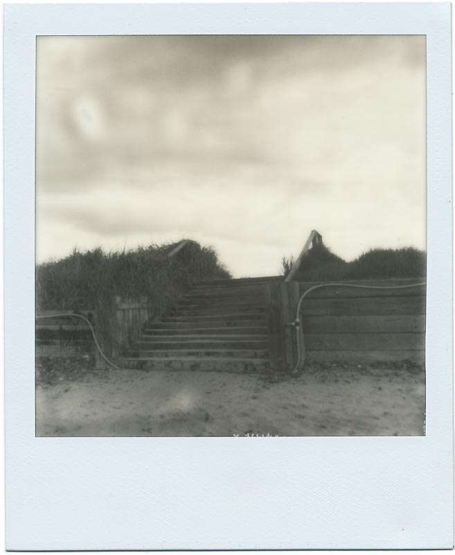 PX600 Silver Shade UV+ 1
