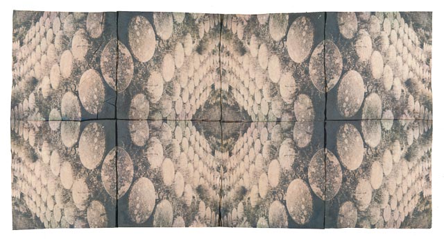 Polaroid emulsion lift - Abstract spomenics gallery - Image 6