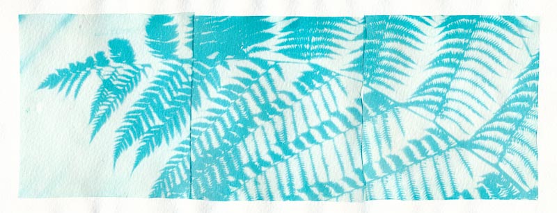 Cyanograph Emulsion Lift 1
