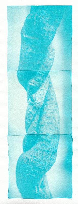 Cyanograph Emulsion Lift 3