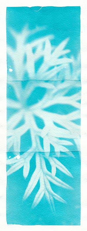 Cyanograph Emulsion Lift 4