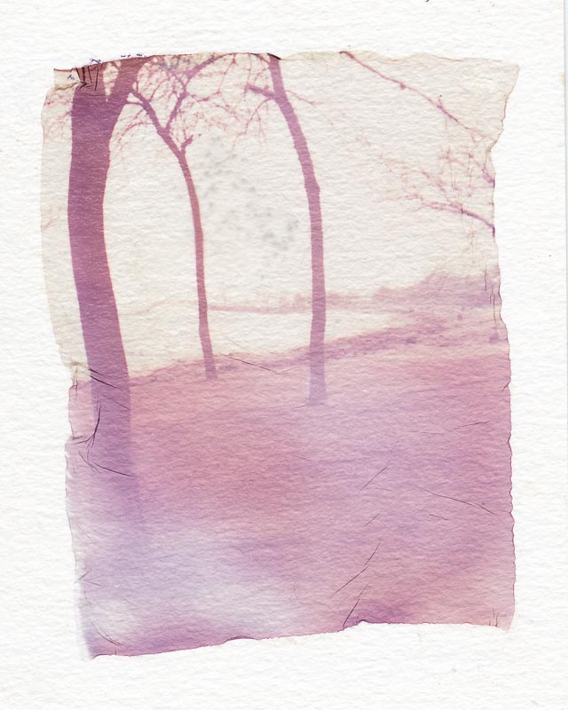 Pack film emulsion lift 8
