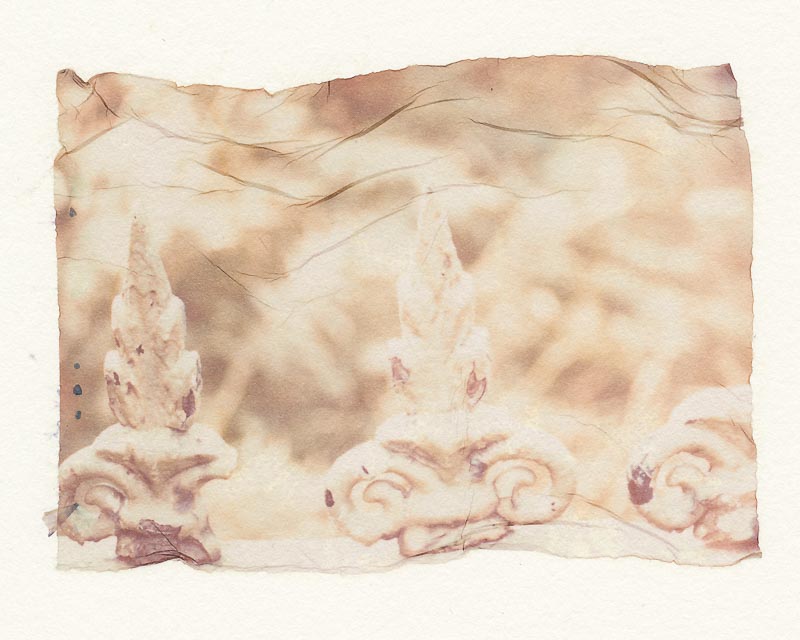 Pack film emulsion lift 10