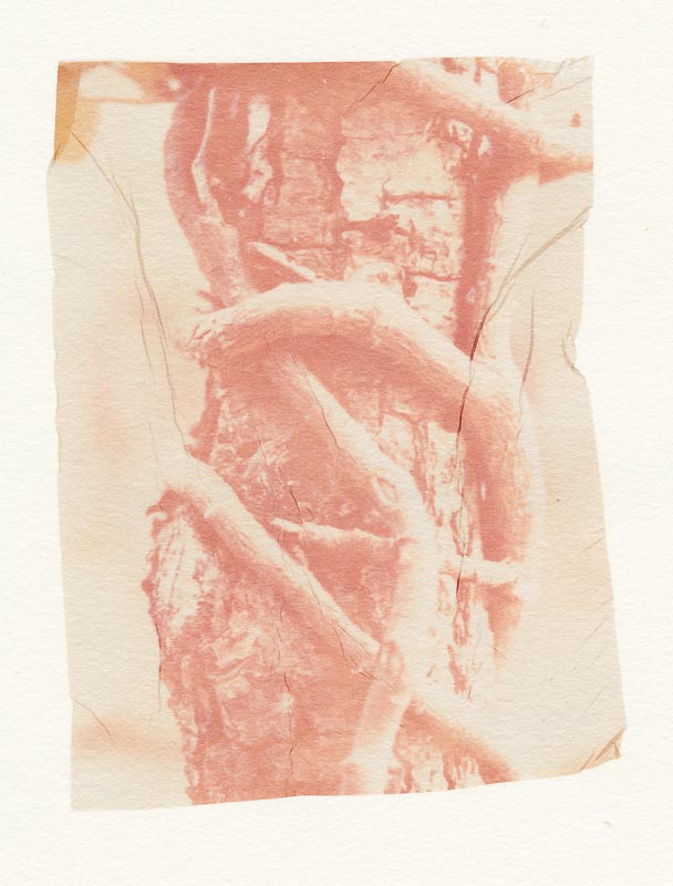Pack film emulsion lift 12