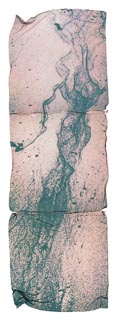 Polaroid Waterscapes II gallery - Image 23