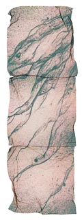 Polaroid Waterscapes II gallery - Image 31