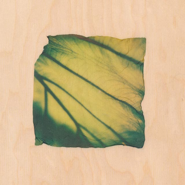 Shades of green 20