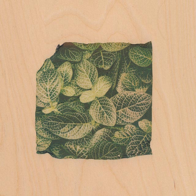 Shades of green 19