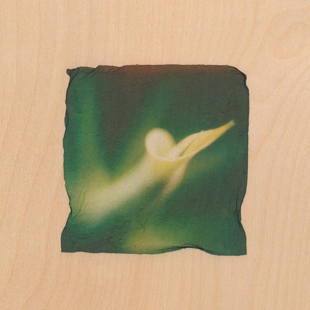 Shades of green 17