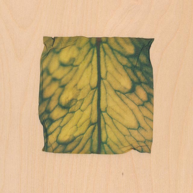 Shades of green 15