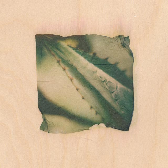 Shades of green 7