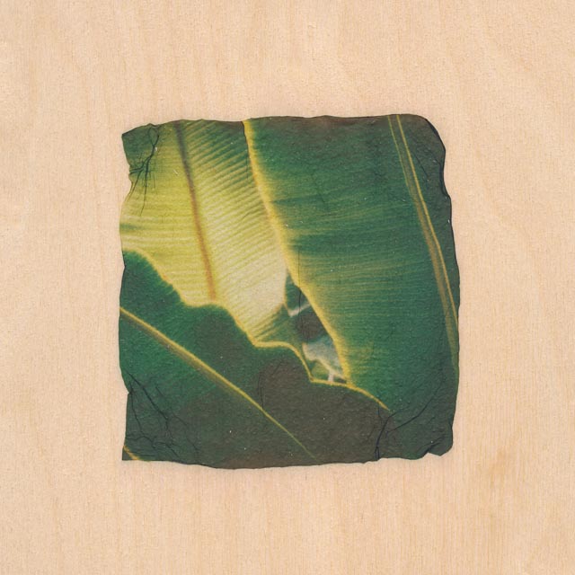 Shades of green 2