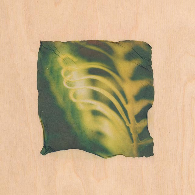 Shades of green 10