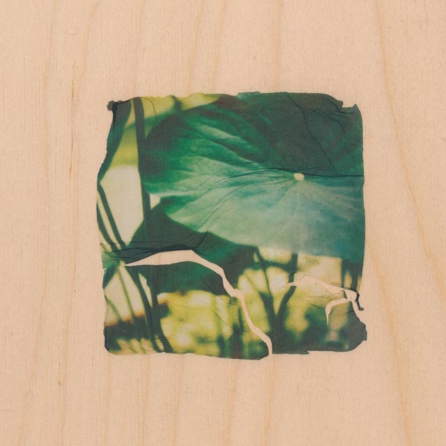 Shades of green 8