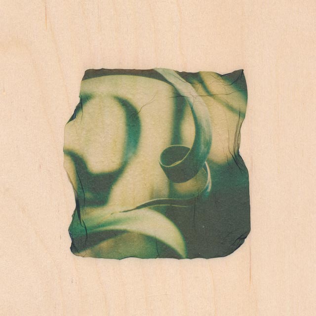 Shades of green 4