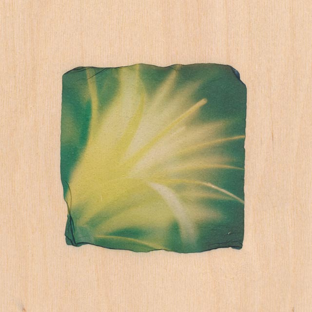 Shades of green 1