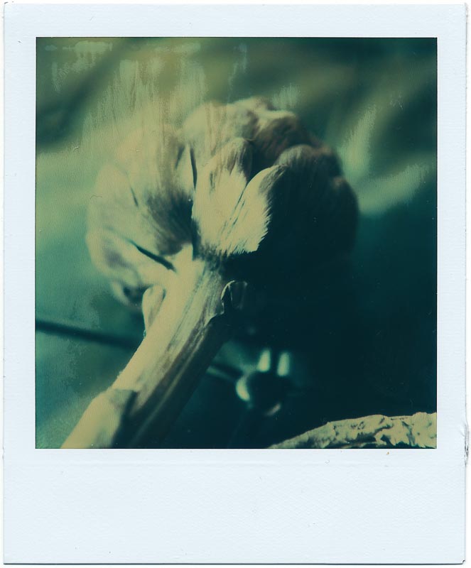Fade To Black gallery - Image 5