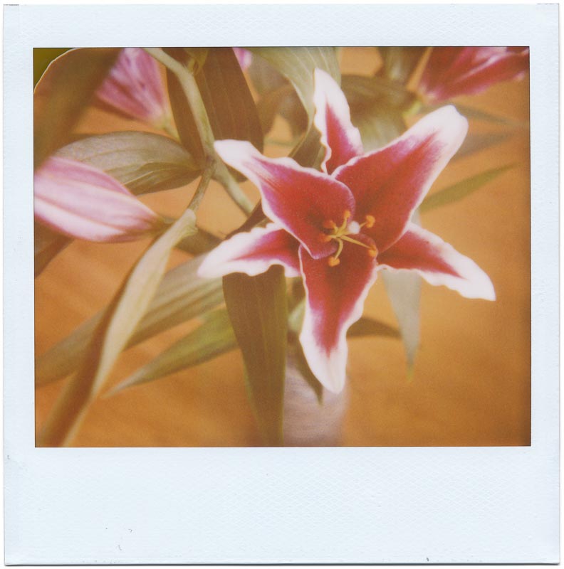 Image/Spectra 17