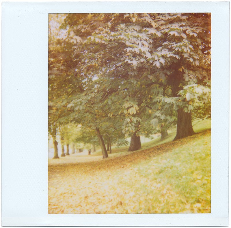 Image/Spectra 2