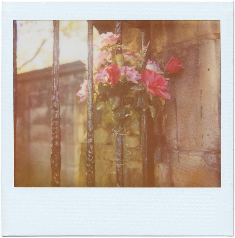 Image/Spectra 7