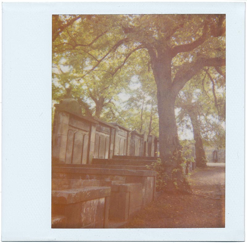 Image/Spectra 8