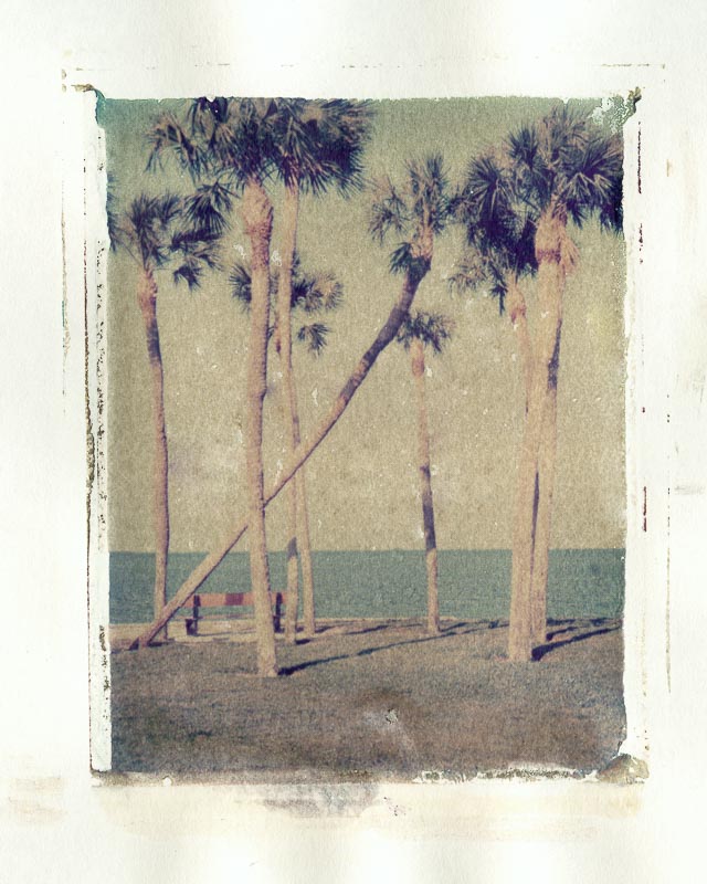 Pack film image transfer gallery - Image 7