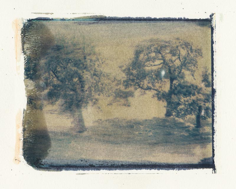 Pack film image transfer gallery - Image 9