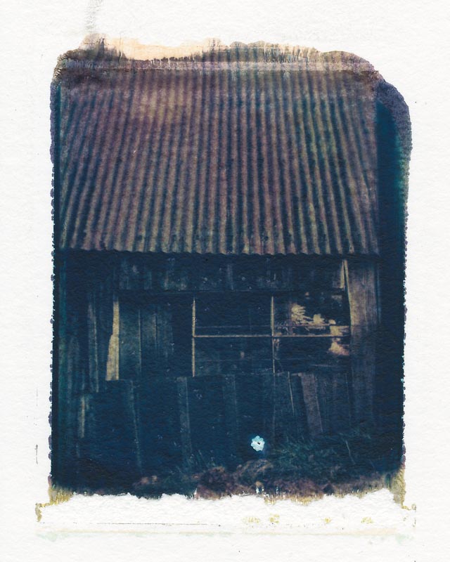 Pack film image transfer gallery - Image 13