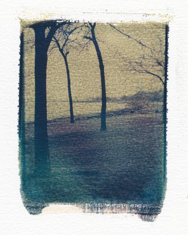 Pack film image transfer gallery - Image 14