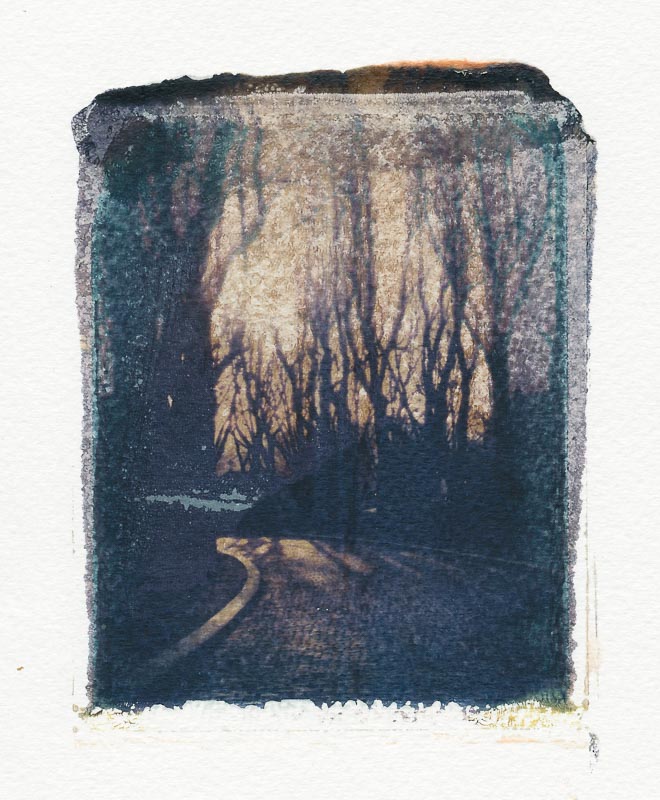 Pack film image transfer gallery - Image 15