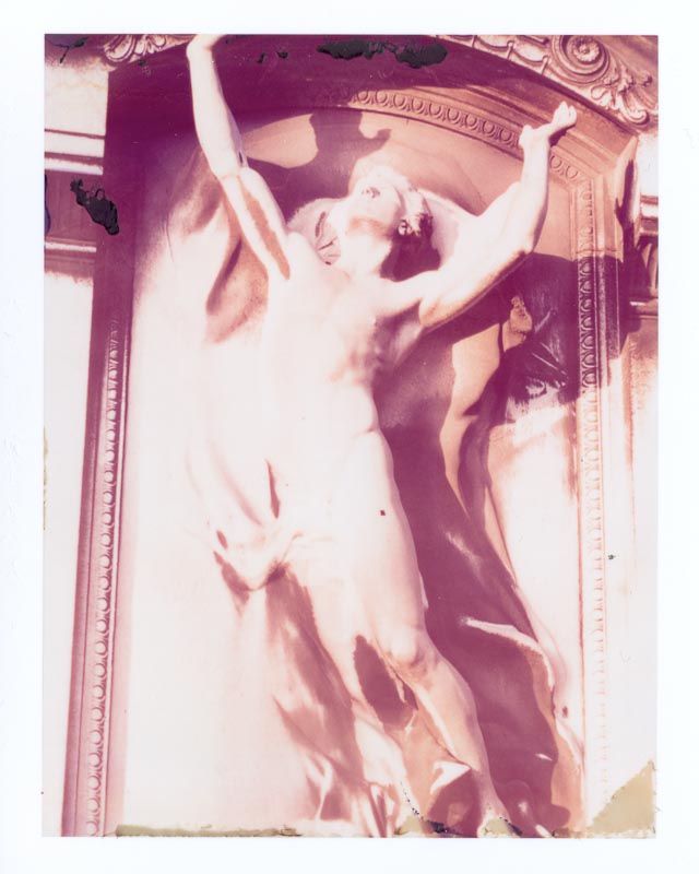 Polaroid pack film gallery - Image 2