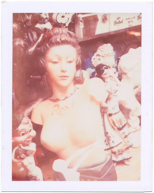 Polaroid pack film gallery - Image 6