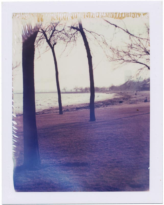 Polaroid pack film gallery - Image 7