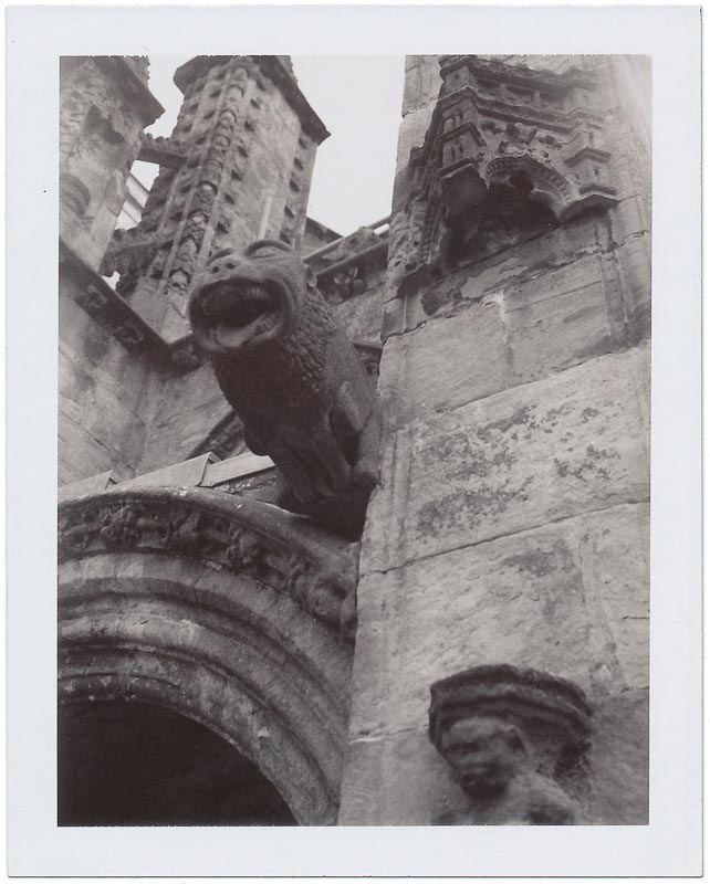 Polaroid pack film gallery - Image 10