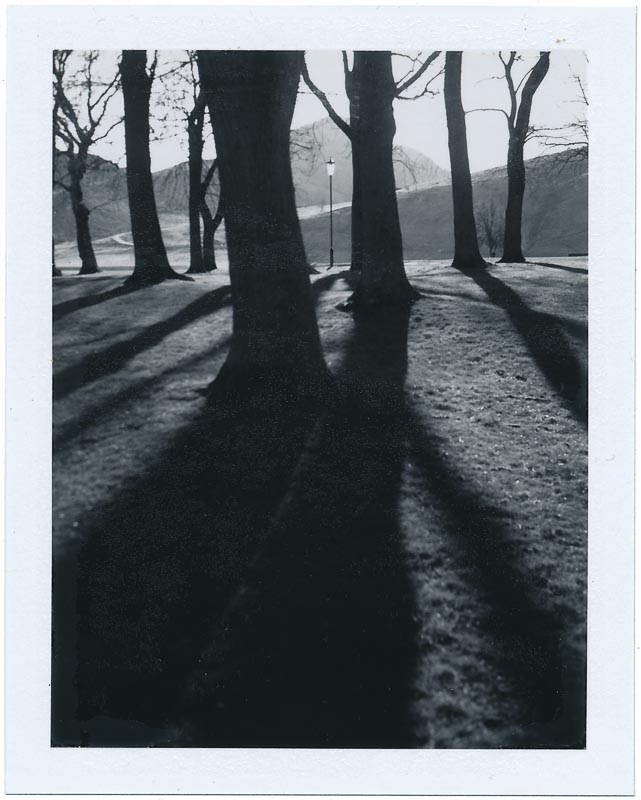 Polaroid pack film gallery - Image 15