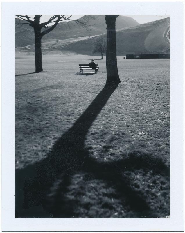 Polaroid pack film gallery - Image 16