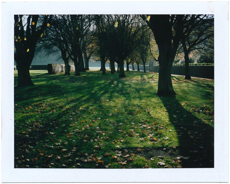 Polaroid pack film gallery - Image 14