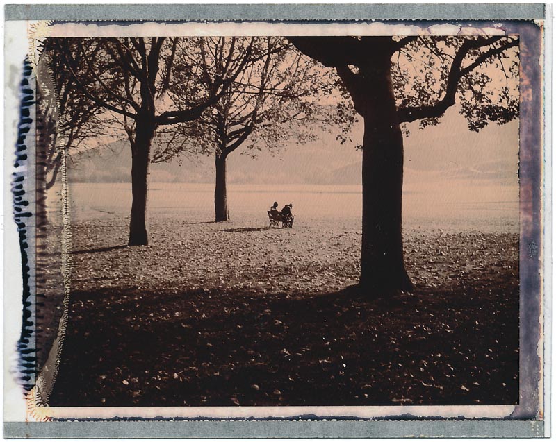 Polaroid 100 Chocolate gallery - Image 6