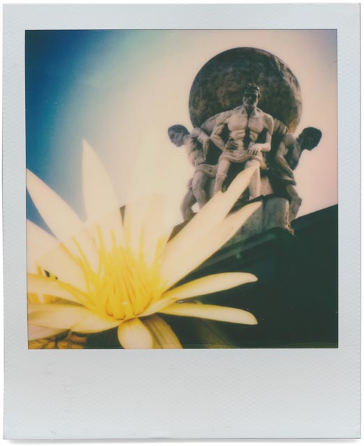 Stone flowers overflow 22