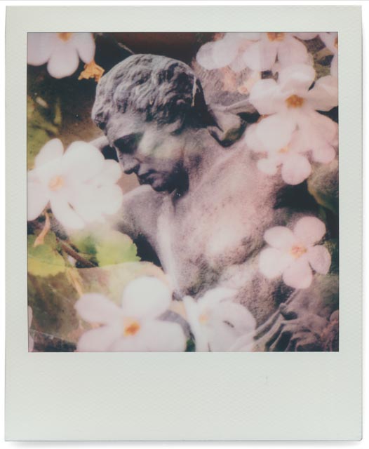 Stone flowers overflow 2